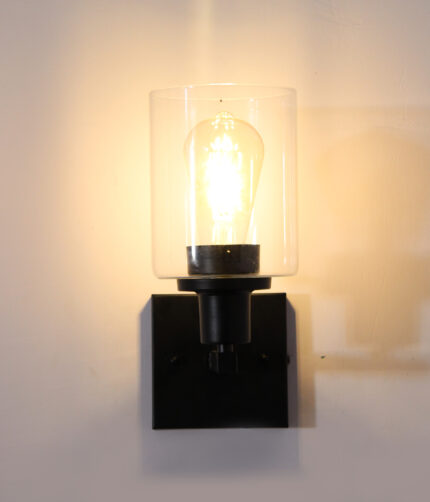 Mate Black Finish Clear Glass Wall Sconce